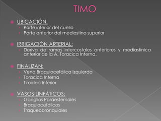    UBICACIÓN:
    › Parte inferior del cuello
    › Parte anterior del mediastino superior

   IRRIGACIÓN ARTERIAL:
    › Deriva de ramas intercostales anteriores y mediastínica
      anterior de la A. Toracica Interna.

   FINALIZAN:
    › Vena Braquiocefálica Izquierda
    › Toracica Interna
    › Tiroidea Inferior

   VASOS LINFÁTICOS:
    › Ganglios Paraesternales
    › Braquiocefálicos
    › Traqueobronquiales
 