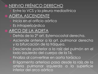    NERVIO FRÉNICO DERECHO
    › Entre la VCS y la pleura mediastínica
   AORTA ASCENDENTE
    › Inicia en el orificio aórtico
    › Es intrapericárdica
   ARCO DE LA AORTA
    › Detrás de la 2° art. Esternocostal derecha.
    › Asciende anterior a la art. pulmonar derecha
      y la bifurcación de la tráquea.
    › Desciende posterior a la raíz del pulmón en el
      lado izquierdo del cuerpo de la T4.
    › Finaliza al convertirse en aorta torácica
    › El ligamento arterioso pasa desde la raíz de la
      arteria pulmonar izquierda a la superficie
      inferior del arco aórtico
 