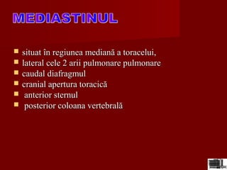  situat în regiunea mediană a toracelui,situat în regiunea mediană a toracelui,
 lateral cele 2 arii pulmonare pulmonarelateral cele 2 arii pulmonare pulmonare
 caudal diafragmulcaudal diafragmul
 cranial apertura toracicăcranial apertura toracică
 anterior sternulanterior sternul
 posterior coloana vertebralăposterior coloana vertebrală
 