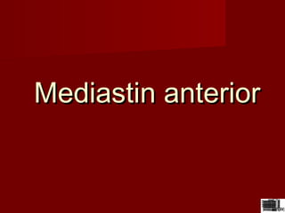 Mediastin anteriorMediastin anterior
 