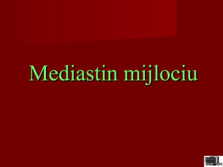 Mediastin mijlociuMediastin mijlociu
 