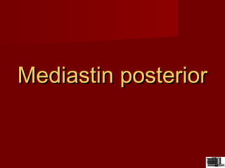 Mediastin posteriorMediastin posterior
 