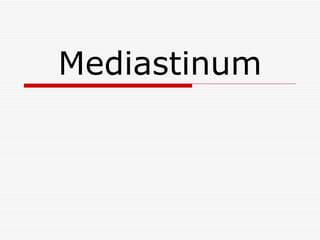 Mediastinum 