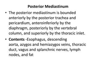 Posterior Mediastinum
• The posterior mediastinum is bounded
anteriorly by the posterior trachea and
pericardium, anteroinferiorly by the
diaphragm, posteriorly by the vertebral
column, and superiorly by the thoracic inlet.
• Contents -Esophagus, descending
aorta, azygos and hemiazygos veins, thoracic
duct, vagus and splanchnic nerves, lymph
nodes, and fat
 