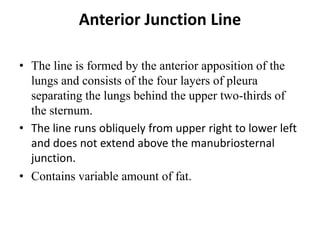 Anterior Junction Line
• The line is formed by the anterior apposition of the
lungs and consists of the four layers of pleura
separating the lungs behind the upper two-thirds of
the sternum.
• The line runs obliquely from upper right to lower left
and does not extend above the manubriosternal
junction.
• Contains variable amount of fat.
 
