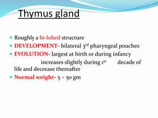 Thymus gland 
 Roughly a bi-lobed structure 
 DEVELOPMENT- bilateral 3rd pharyngeal pouches 
 EVOLUTION- largest at birth or during infancy 
increases slightly during 1st decade of 
life and decrease thereafter 
 Normal weight- 5 – 50 gm 
 