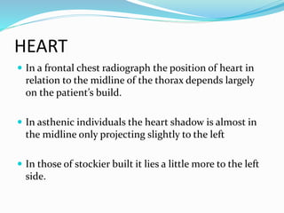 Mediastinum | PPTX