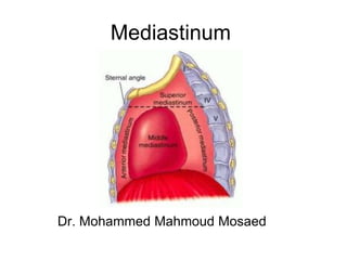 Mediastinum
Dr. Mohammed Mahmoud Mosaed
 