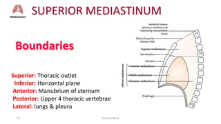 anatomy of mediastinum with Dr. Ameera Al-Humidi.pptx