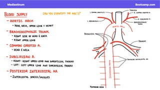 Mediastinum.pdf mediastinum pdf boot camp | PDF