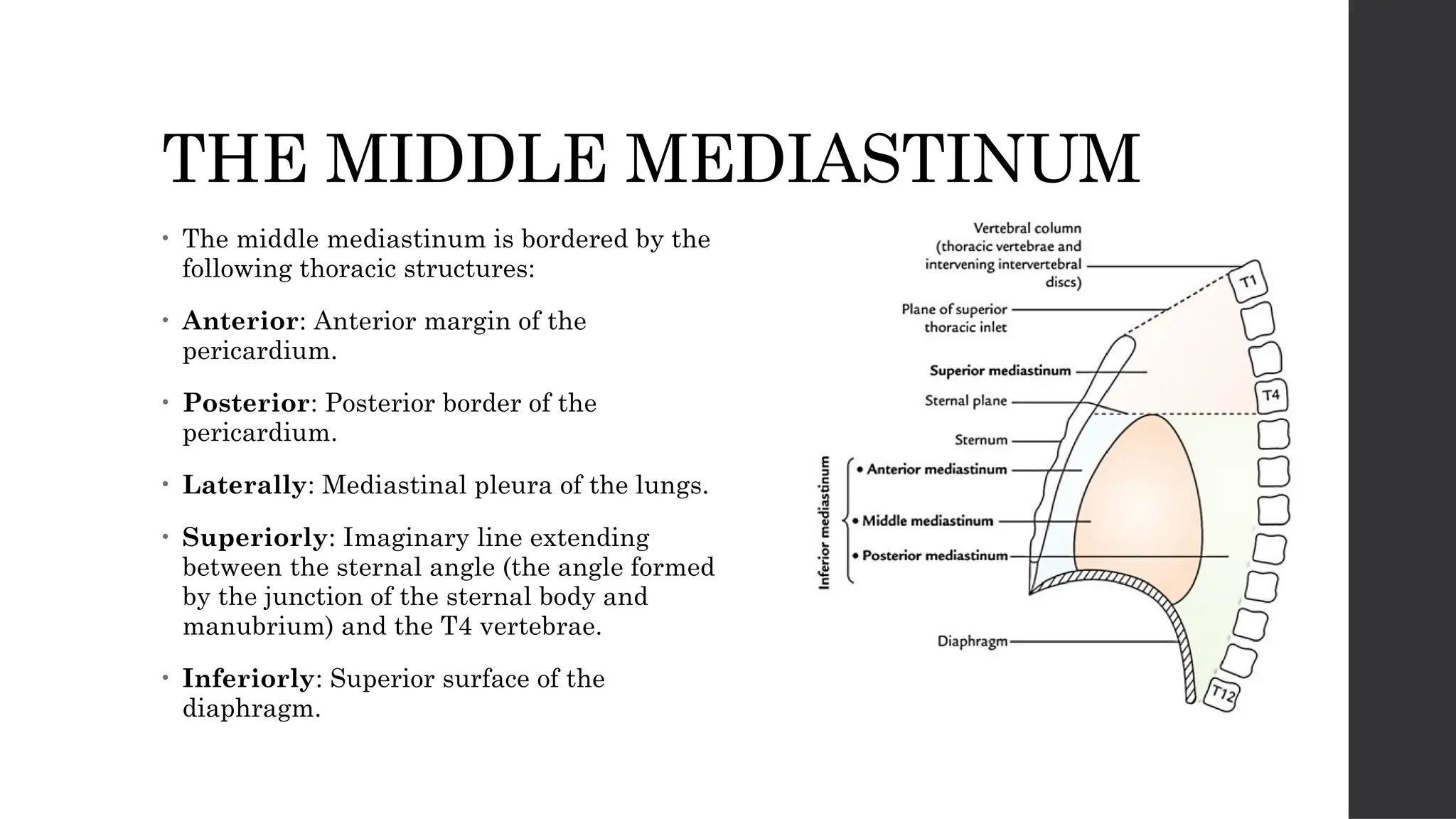 Anatomy & Radiology of the Mediastinum.pptx