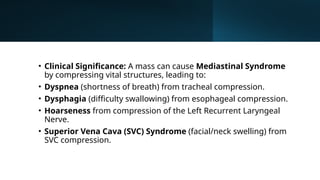 mediastinum.pptxvnfnfhfnrgmk9kgnjjfm fnnyhmn | PPTX
