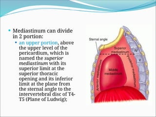 Comprehensive Anatomy of the Mediastinum and Heart Structures | PPTX