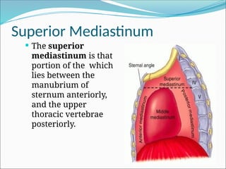 Comprehensive Anatomy of the Mediastinum and Heart Structures | PPTX