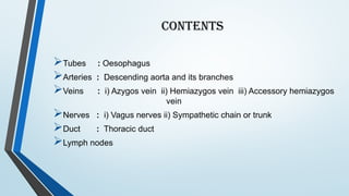 Comprehensive Overview of the Mediastinum: Anatomy, Divisions, and ...