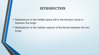 Comprehensive Overview of the Mediastinum: Anatomy, Divisions, and ...