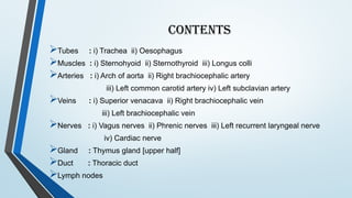 Comprehensive Overview of the Mediastinum: Anatomy, Divisions, and ...