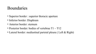 Comprehensive Anatomy of the Mediastinum, Pericardium, and Heart | PPTX