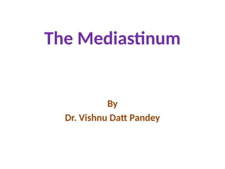 Comprehensive Overview of the Mediastinum: Anatomy and Boundaries | PPTX