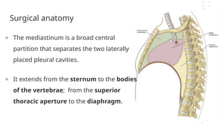 Surgical anatomy
● The mediastinum is a broad central
partition that separates the two laterally
placed pleural cavities.
● It extends from the sternum to the bodies
of the vertebrae; from the superior
thoracic aperture to the diaphragm.
 