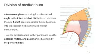 Division of mediastinum
A transverse plane extending from the sternal
angle to the intervertebral disc between vertebrae
thoracic 4 and 5 spaces separates the mediastinum
into the superior mediastinum and inferior
mediastinum.
• Inferior mediastinum is further partitioned into the
anterior, middle, and posterior mediastinum by
the pericardial sac.
 