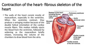 Comprehensive Anatomy and Physiology of the Human Heart and Related ...