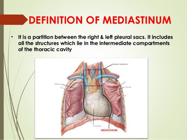 Granulation tissue formation