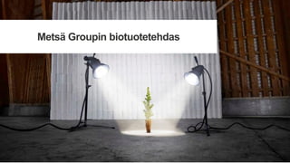 Metsä Groupin biotuotetehdas
 