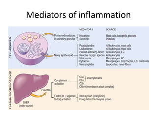 Mediators of inflammation | PPTX