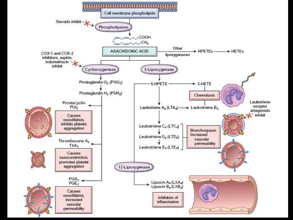 Chemical Mediators of inflammation