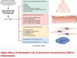 Mediators of inflammation | PPTX