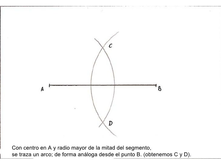 Mediatriz