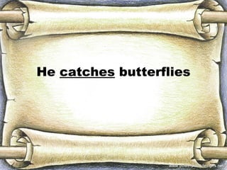 He catches butterflies
 