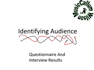 Identifying Audience Questionnaire And Interview Results  