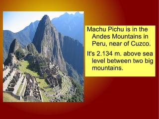 When he arrived the jungle was everywhere. 