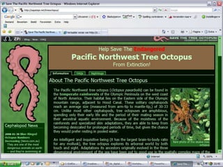 Vinden van juiste informatie