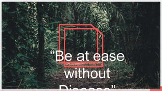 P a g e 4
“Be at ease
without
 