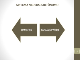 SISTEMANERVOSOAUTÔNOMO
5
SIMPÁTICO PARASSIMPÁTICO
 