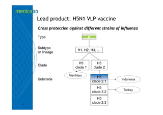 Lead product: H5N1 VLP vaccine
     Cross protection against different strains of influenza

     Type                          A


     Subtype
                           H1, H2, H3, …
     or lineage


                           H5            H5
     Clade
                         clade 1       clade 2

                      Viet-Nam
                                          H5
     Subclade                                      Indonesia
                                       clade 2.1
                                          H5
                                                    Turkey
                                       clade 2.2
                                          H5
13
                                       clade 2.3
 