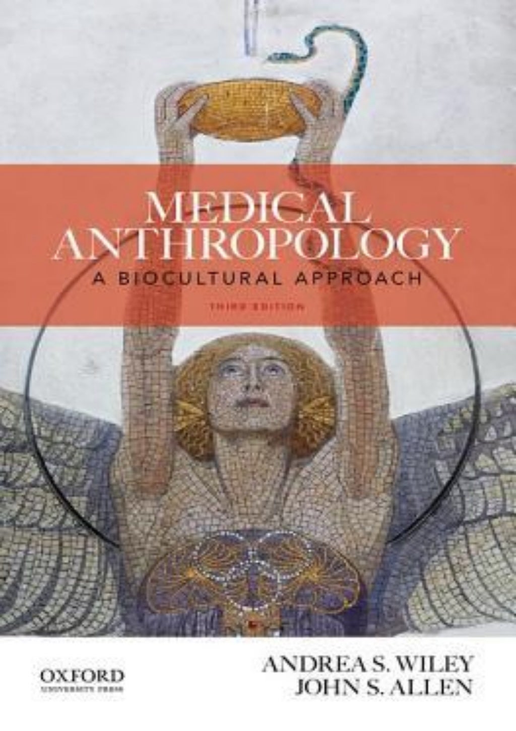 medical anthropology phd