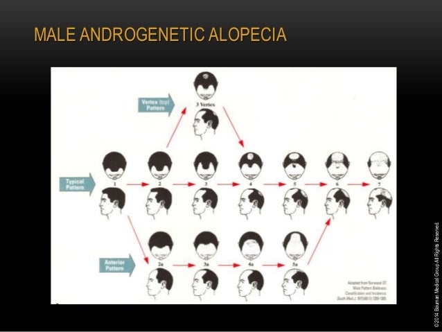 Medical Management of Hair Loss for the Integrative ...