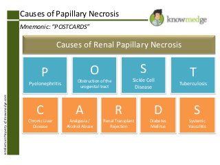 IntellectualPropertyofKnowmedge.com
Causes of Papillary Necrosis
Mnemonic: “POSTCARDS”
C
Chronic Liver
Disease
A
Analgesia /
Alcohol Abuse
R
Renal Transplant
Rejection
D
Diabetes
Mellitus
S
Systemic
Vasculitis
Causes of Renal Papillary Necrosis
P
Pyelonephritis
O
Obstruction of the
urogenital tract
S
Sickle Cell
Disease
T
Tuberculosis
 