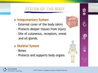 Component Medical Definition Medical-Terminology at the levels-1C.pdf
