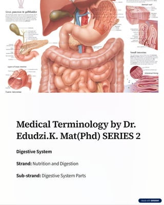 Comprehensive Medical Terminology of the Digestive System by Dr. Edudzi ...
