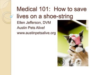 Medical 101: How to save
lives on a shoe-string
Ellen Jefferson, DVM
Austin Pets Alive!
www.austinpetsalive.org
 