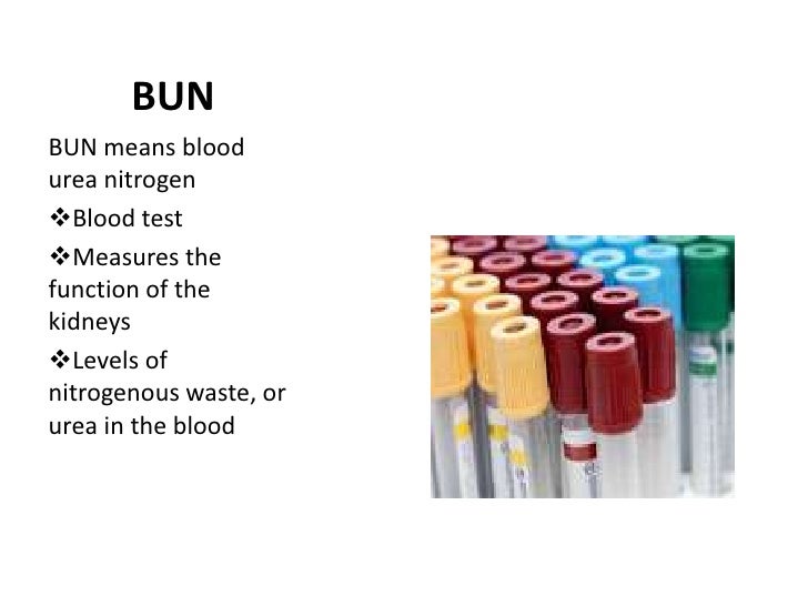 What are blood urea nitrogen tests?