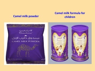 Medical and health properties of camel products | PPT