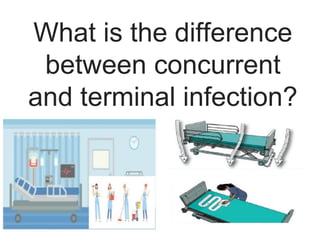 Comprehensive Guide to Medical & Surgical Aseptic Practices and ...