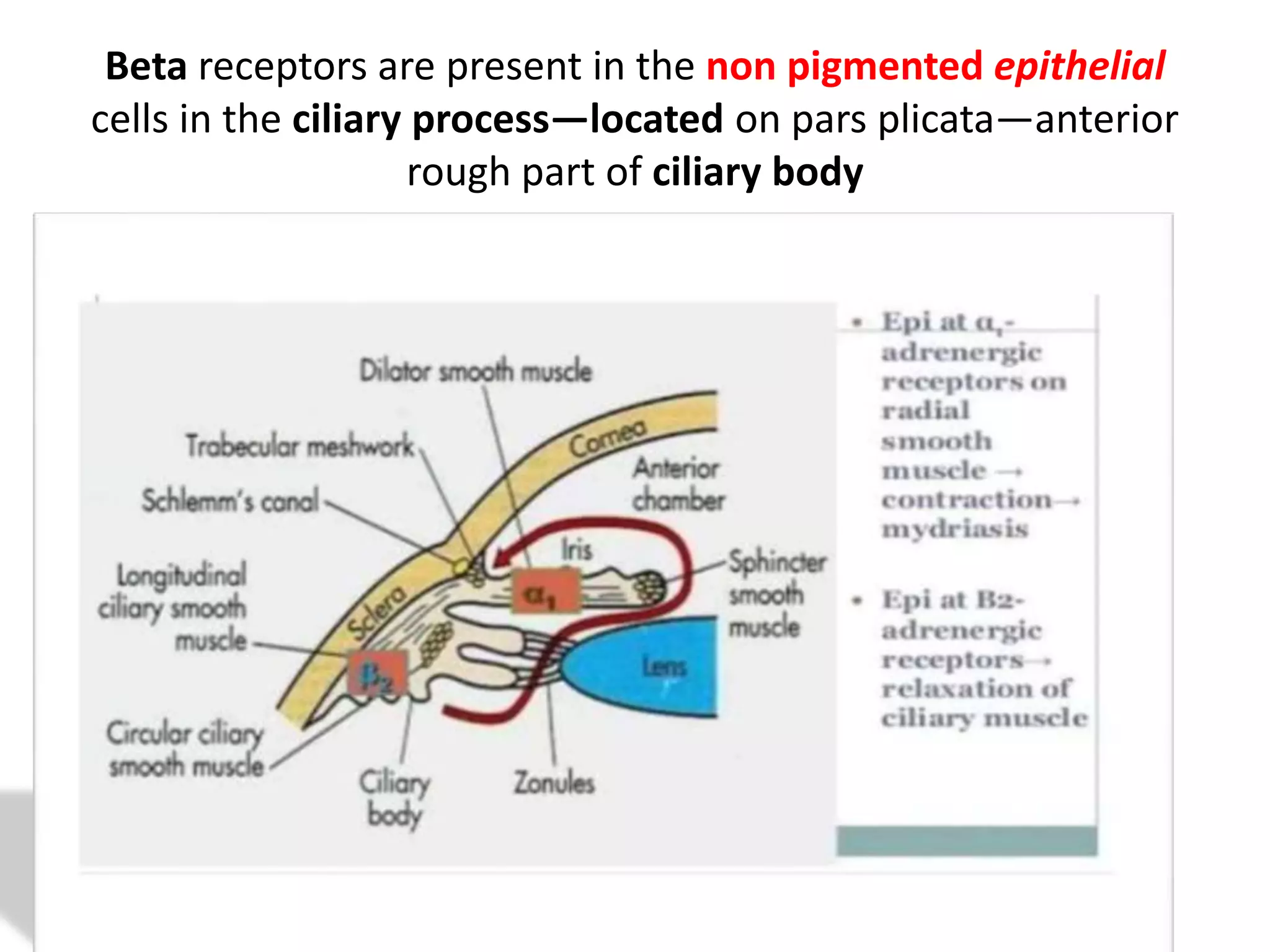 Medical and surgical treatments of glaucoma | PPTX