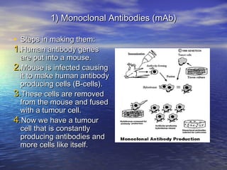 Making Mabs Medical applications of biotech | PPT